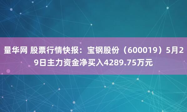 量华网 股票行情快报：宝钢股份（600019）5月29日主力资金净买入4289.75万元