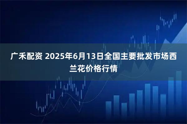 广禾配资 2025年6月13日全国主要批发市场西兰花价格行情