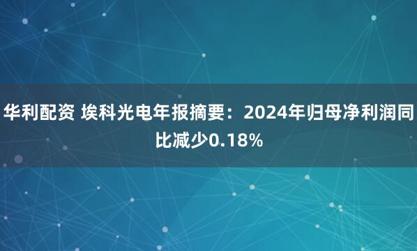 华利配资 埃科光电年报摘要：2024年归母净利润同比减少0.18%
